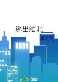 逃出缅北逃出缅北